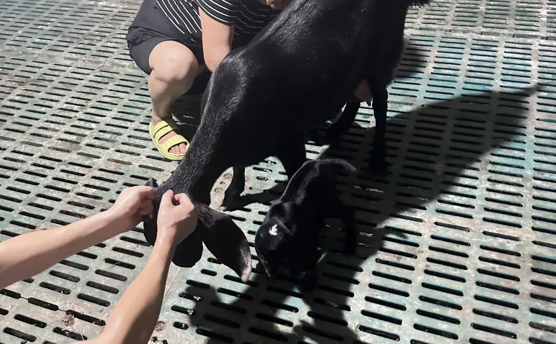 ��3�����治�ʺ����򣡱�äĿ�������Ǯ