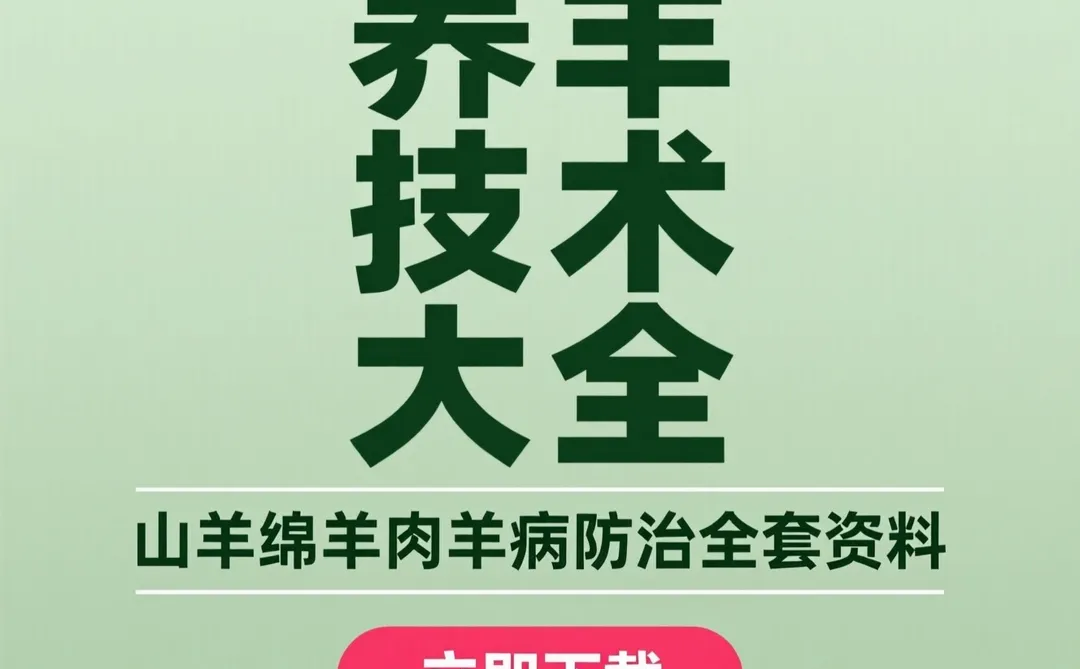 ��������ȫ�������ؼ��������ι���