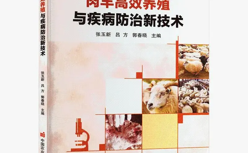 ?������ֳ�ɻ�����ʵ��