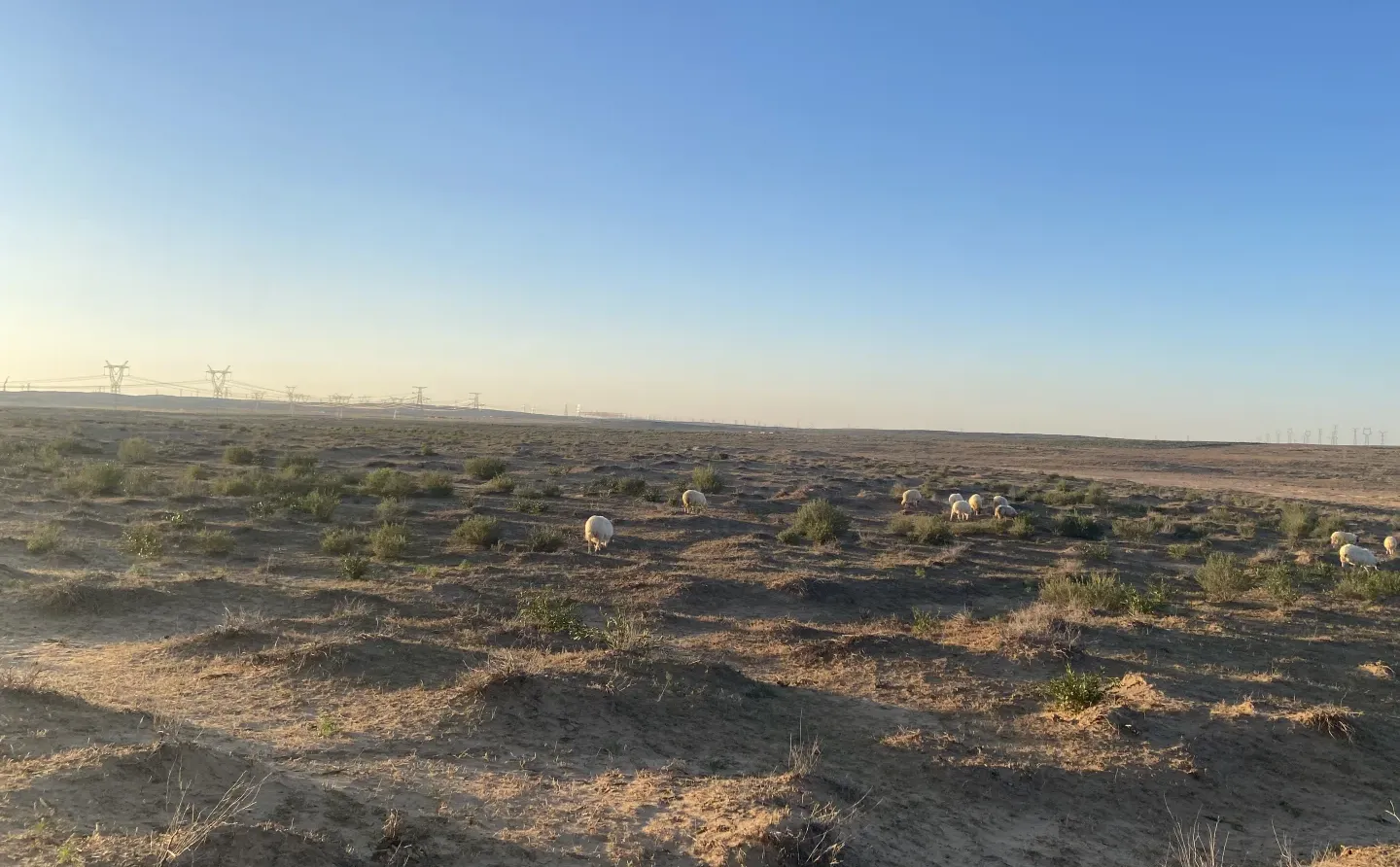 ��ʵ��������