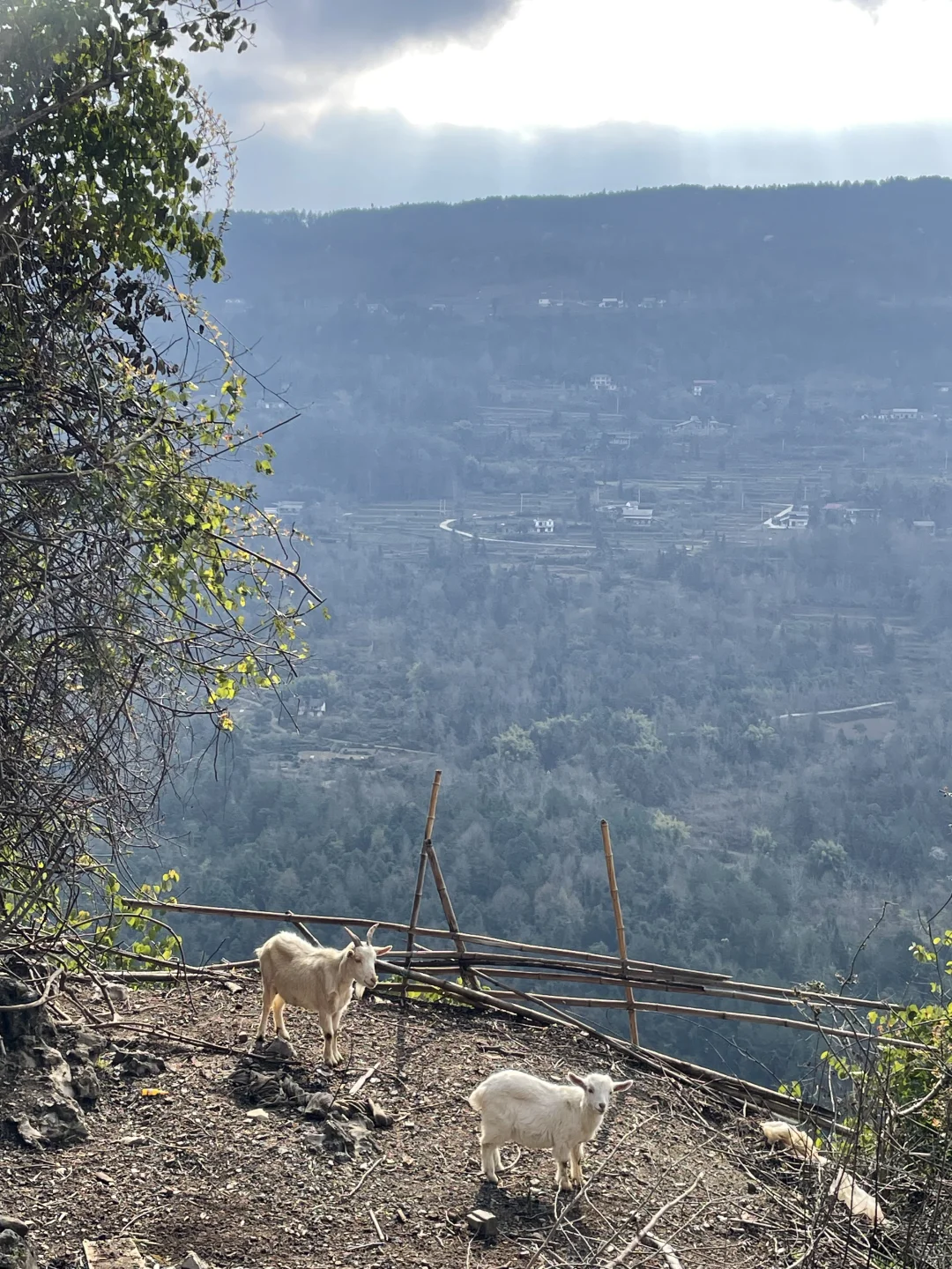 ������ʩ��ɽ��?