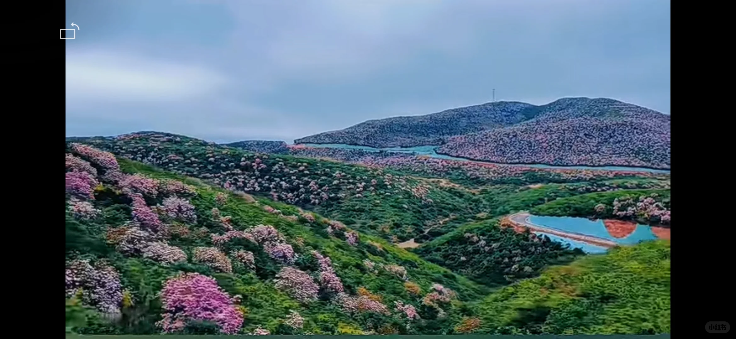 �������� ����ɽ��ҩ������