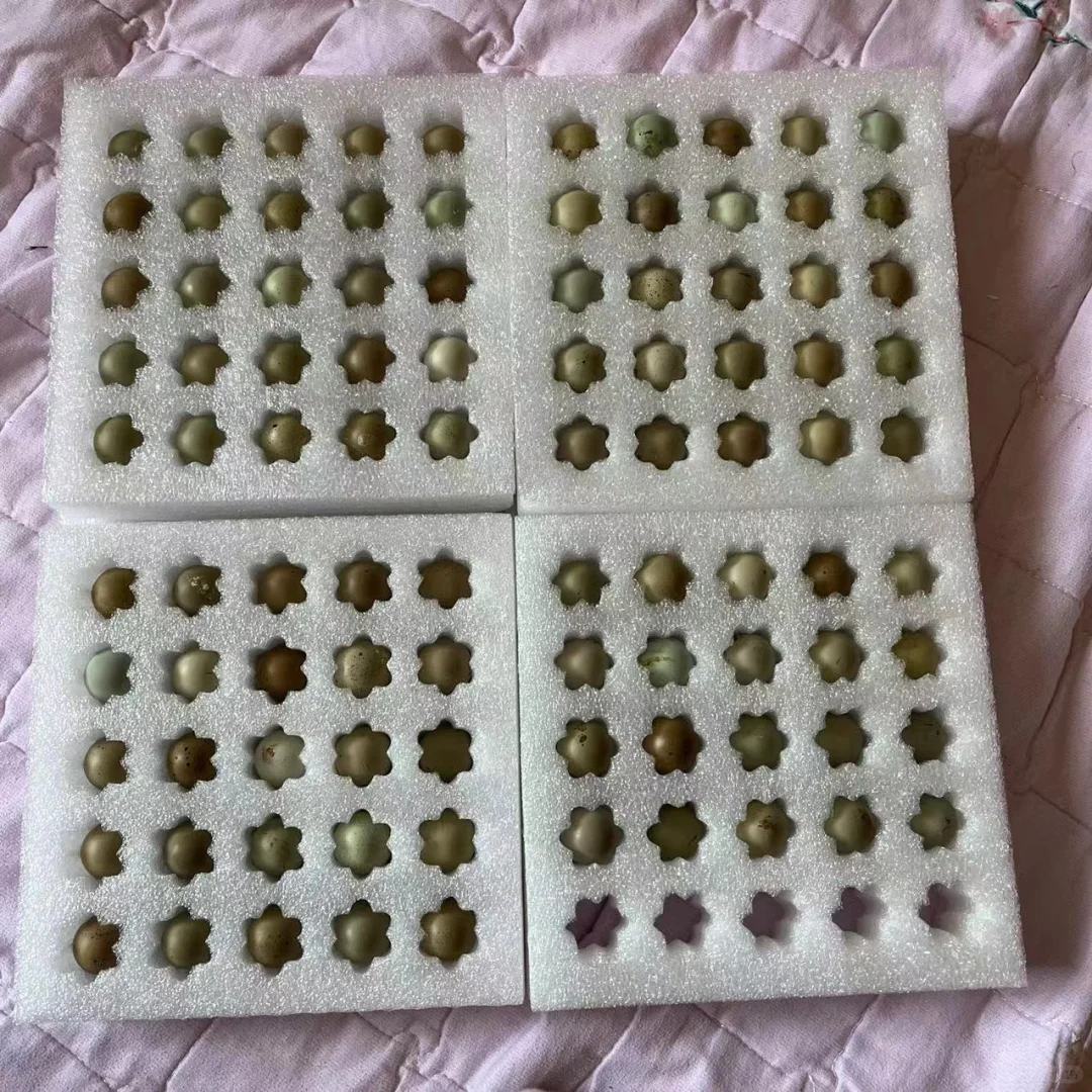 «������1Ԫһö ����Ҫ����