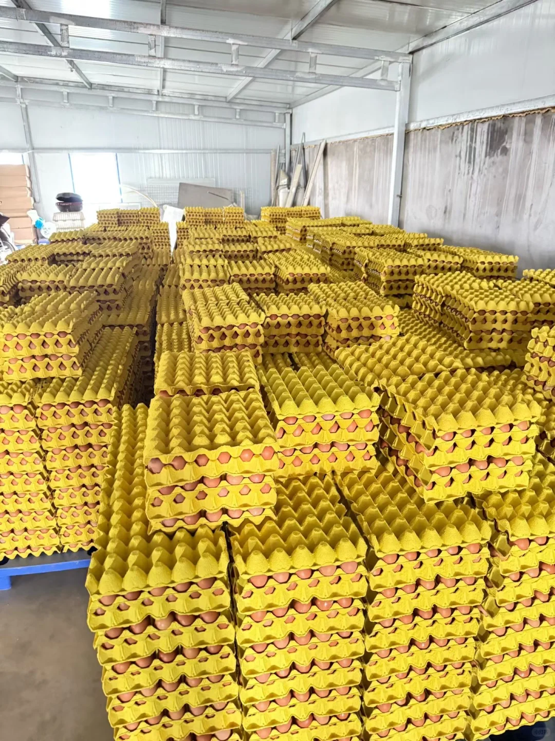 ����ֱ����������