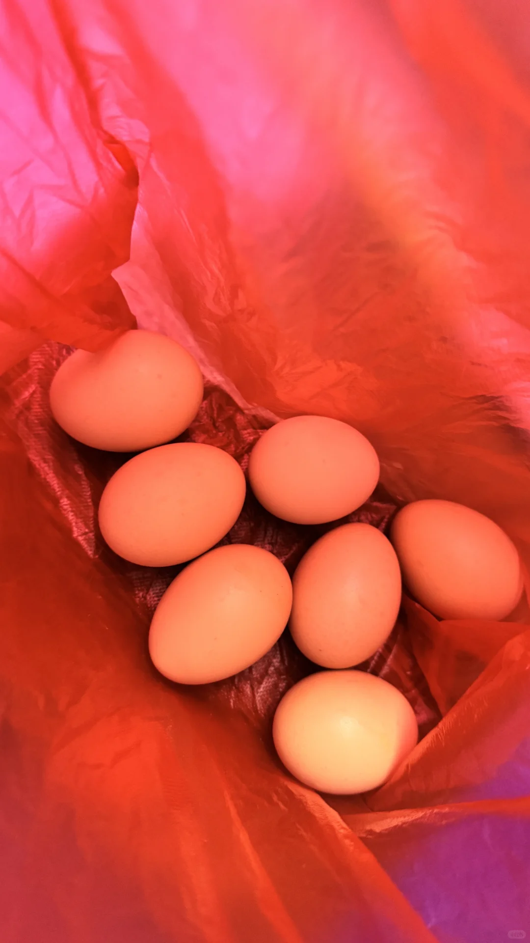 ������һ����ëǮһ���ļ�������