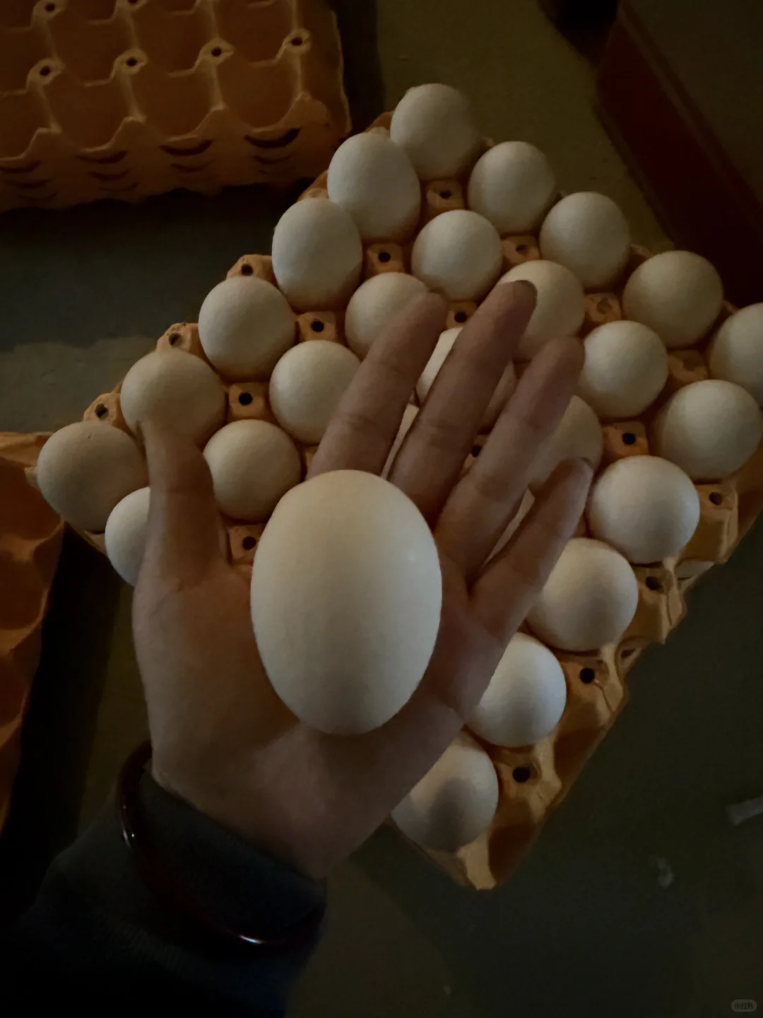 �����˫�Ƽ�����ĳ����⣡?