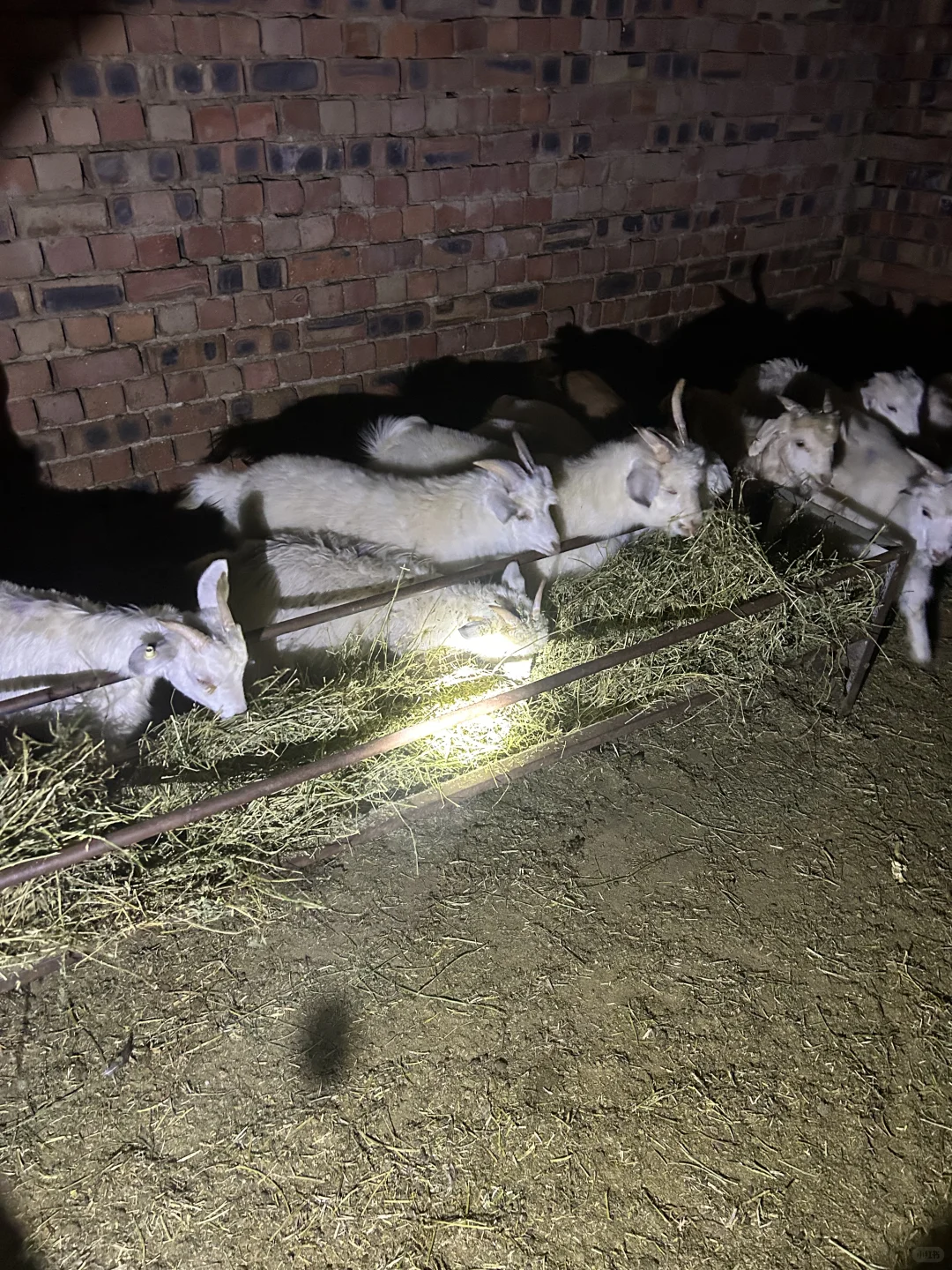 ��ʵ��������