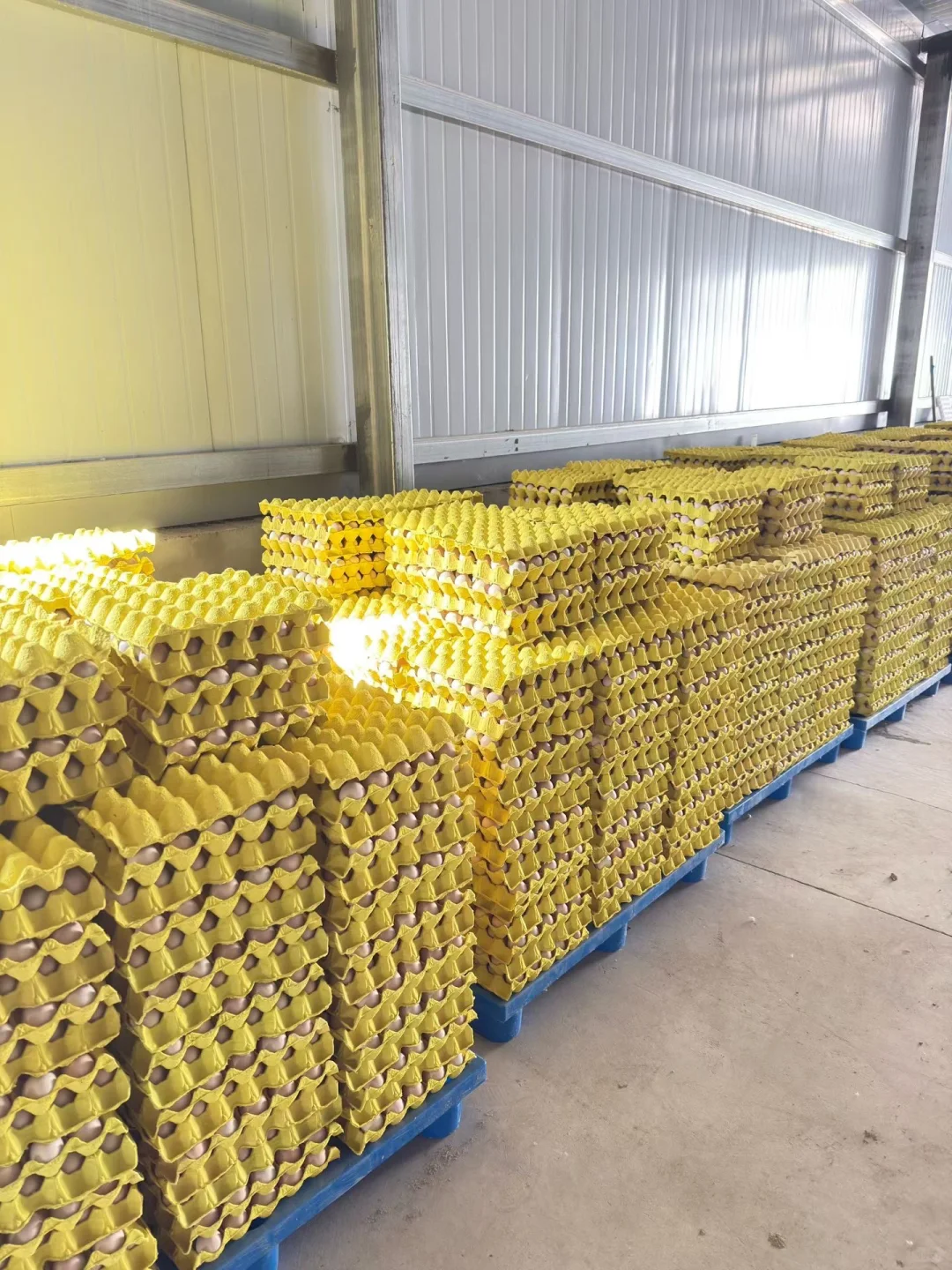 ����ֱ����������