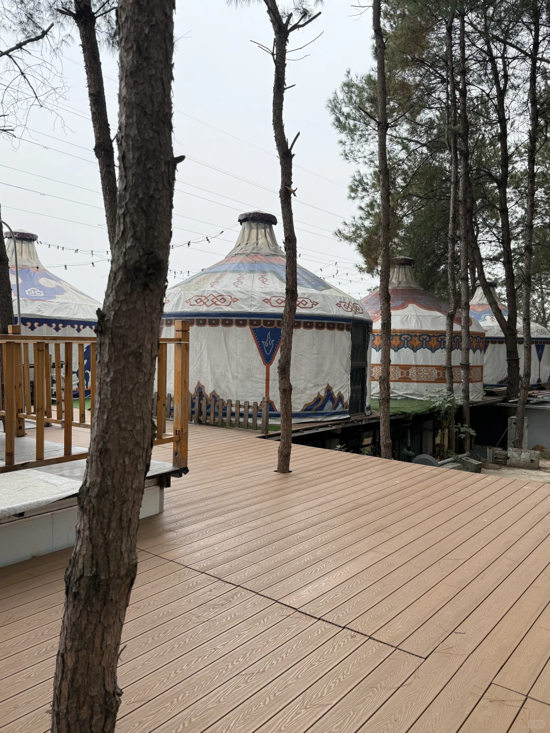 ?��ĩ��ȫ����������Լ��