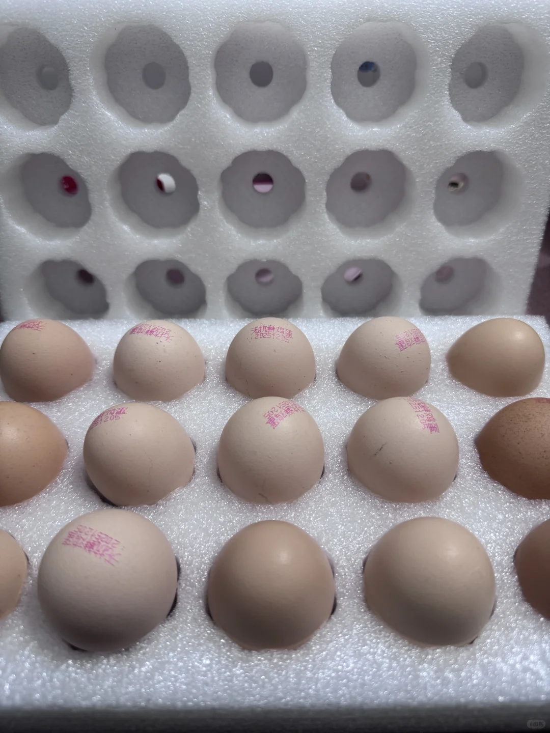 ������ɫ������4.9���15�ż���