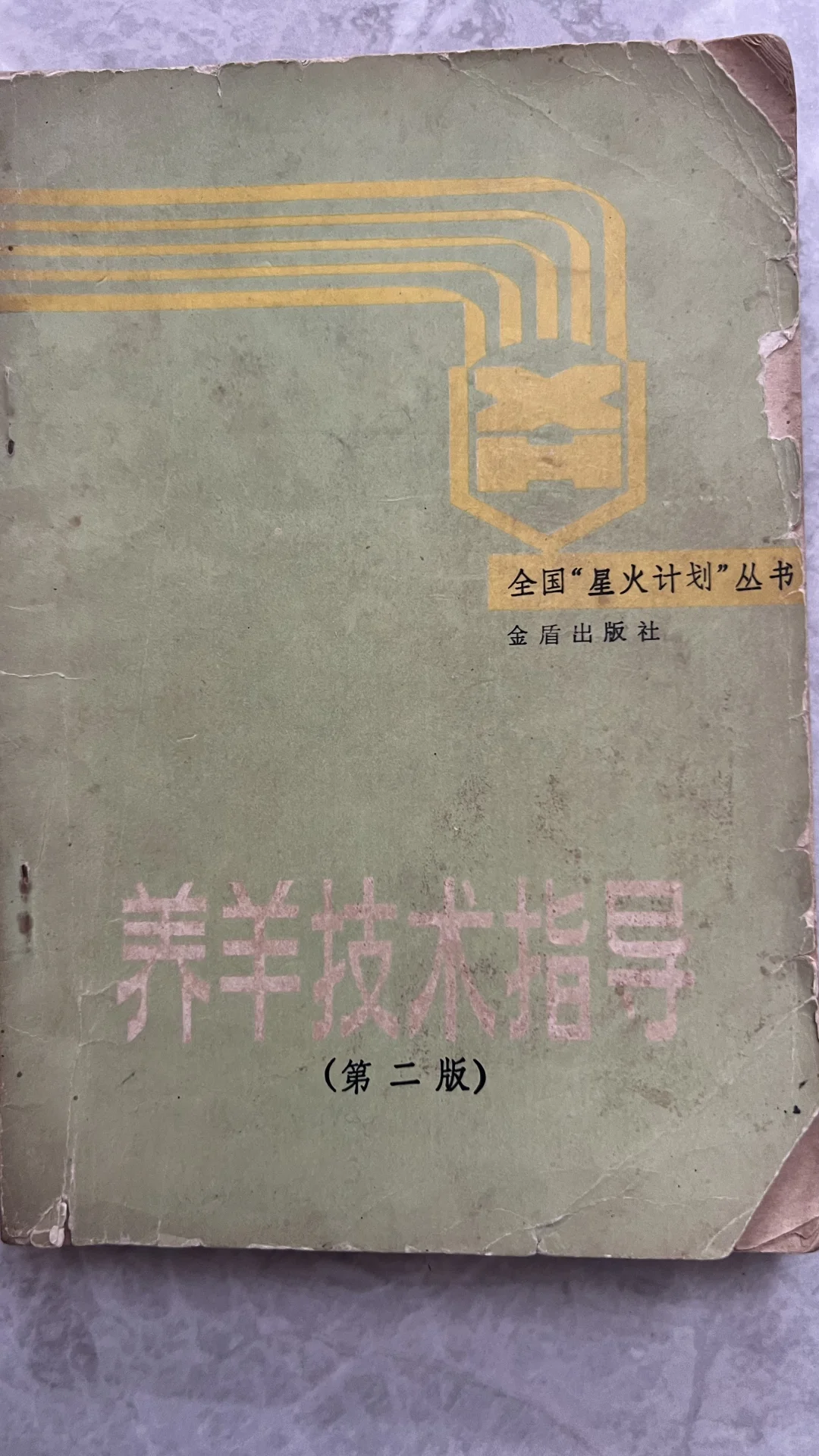 ������ָ��