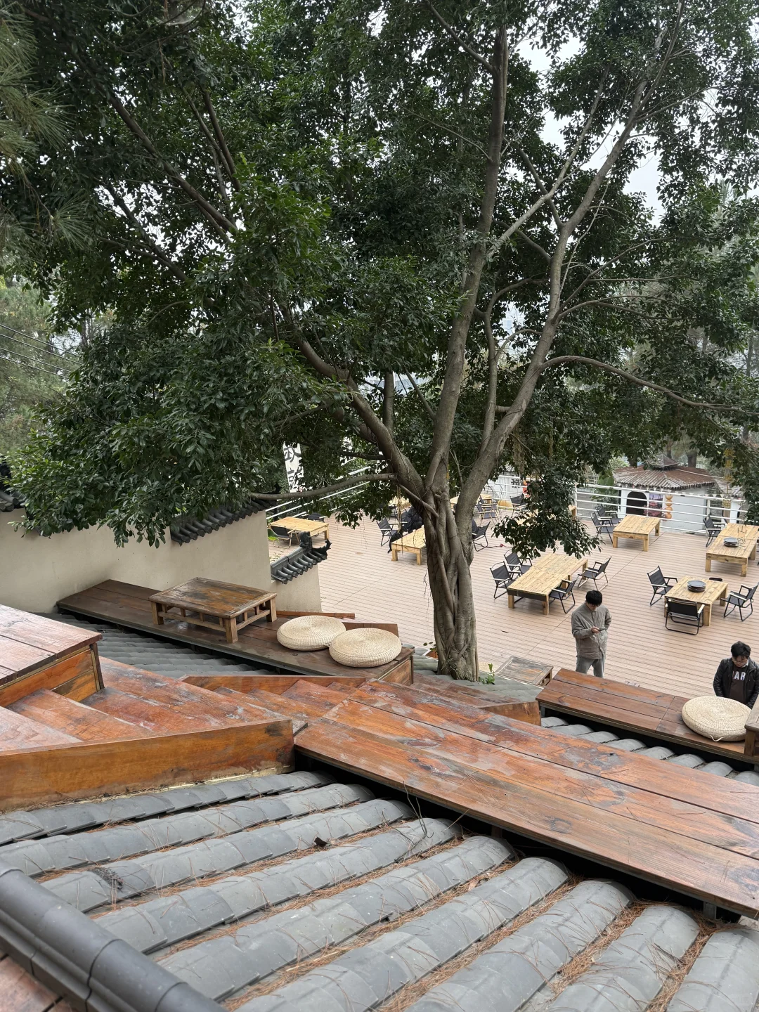 ?��ĩ��ȫ����������Լ��