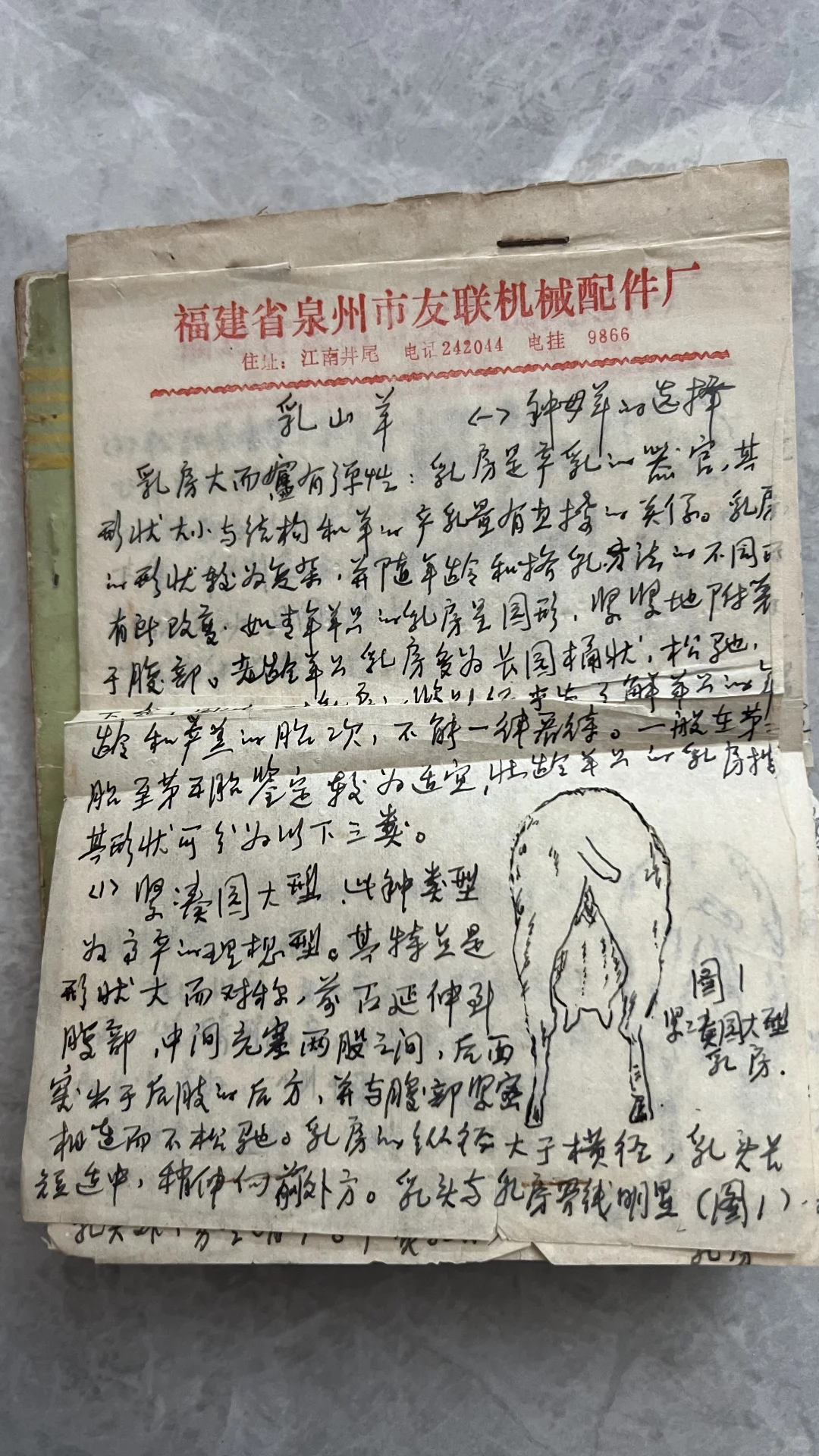 ������ָ��