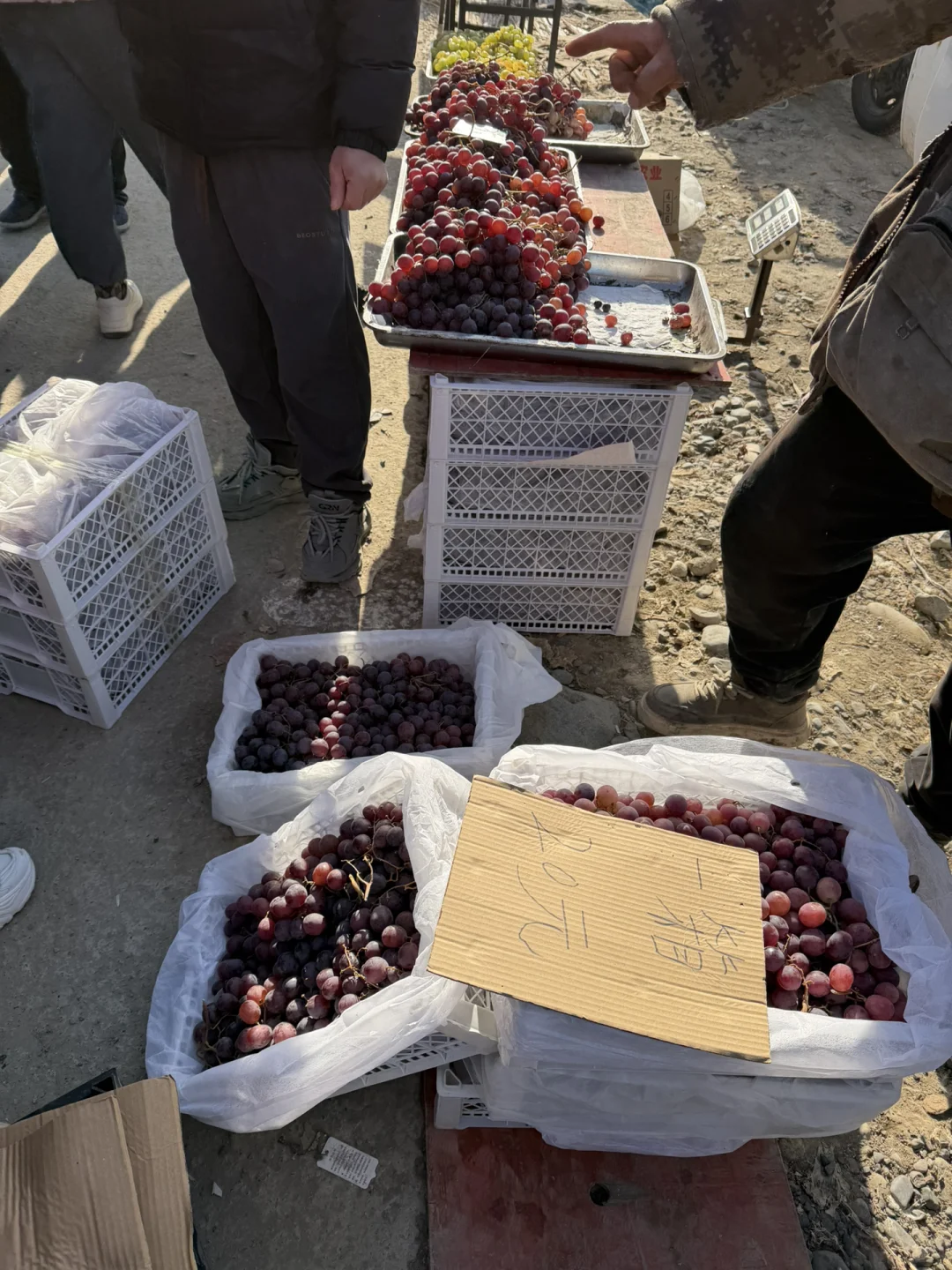 ��۱��ڵض�����ն��