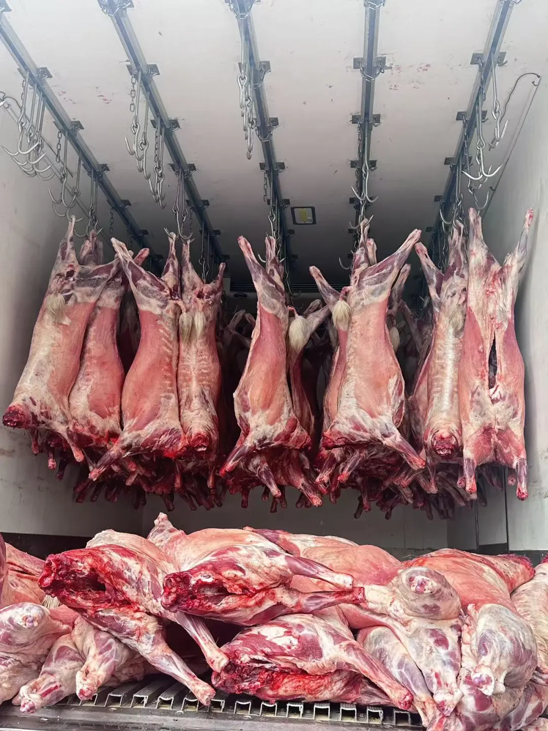 �������ҷ���������Ц��������������˭����