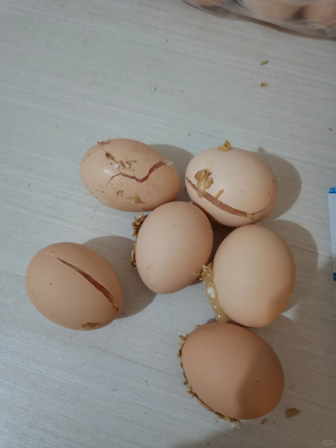 ����������