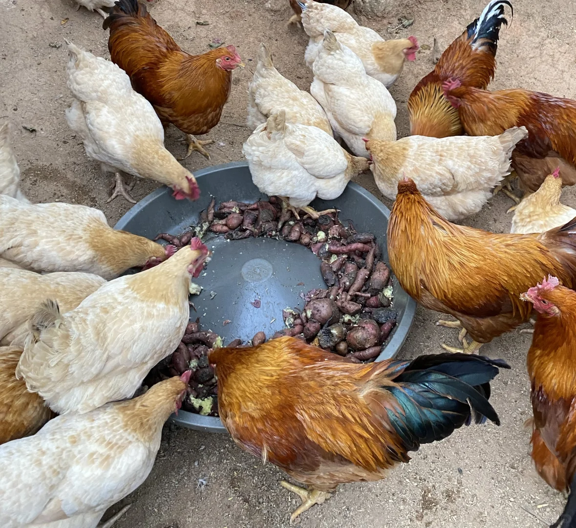 �Ҽҵļ�����Ȼ�󣬵��Ǳ��氡