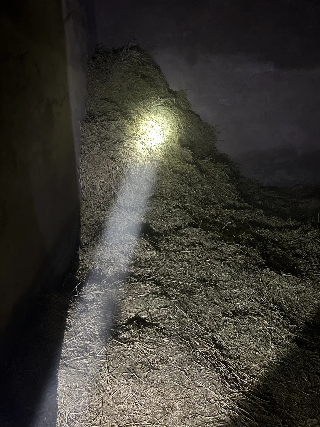 ��ʵ��������