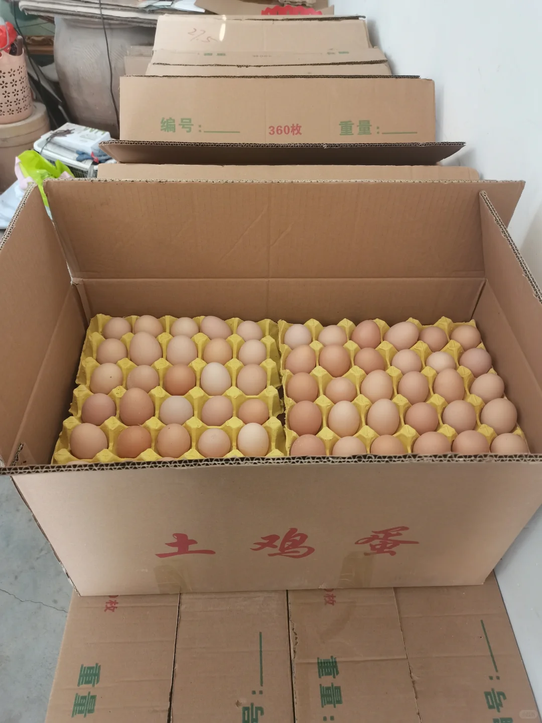 �����������������񼦵����ݼ���