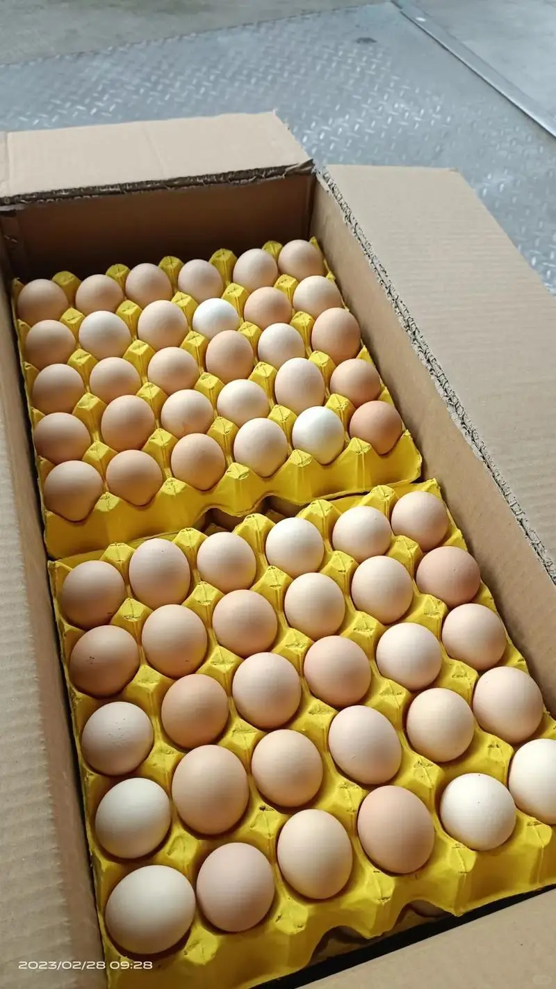 ����������������1000�O�ֿ⣬�ȣ�