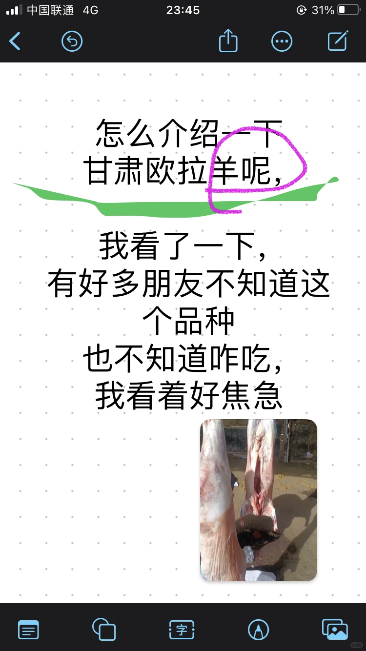 ��������������?��