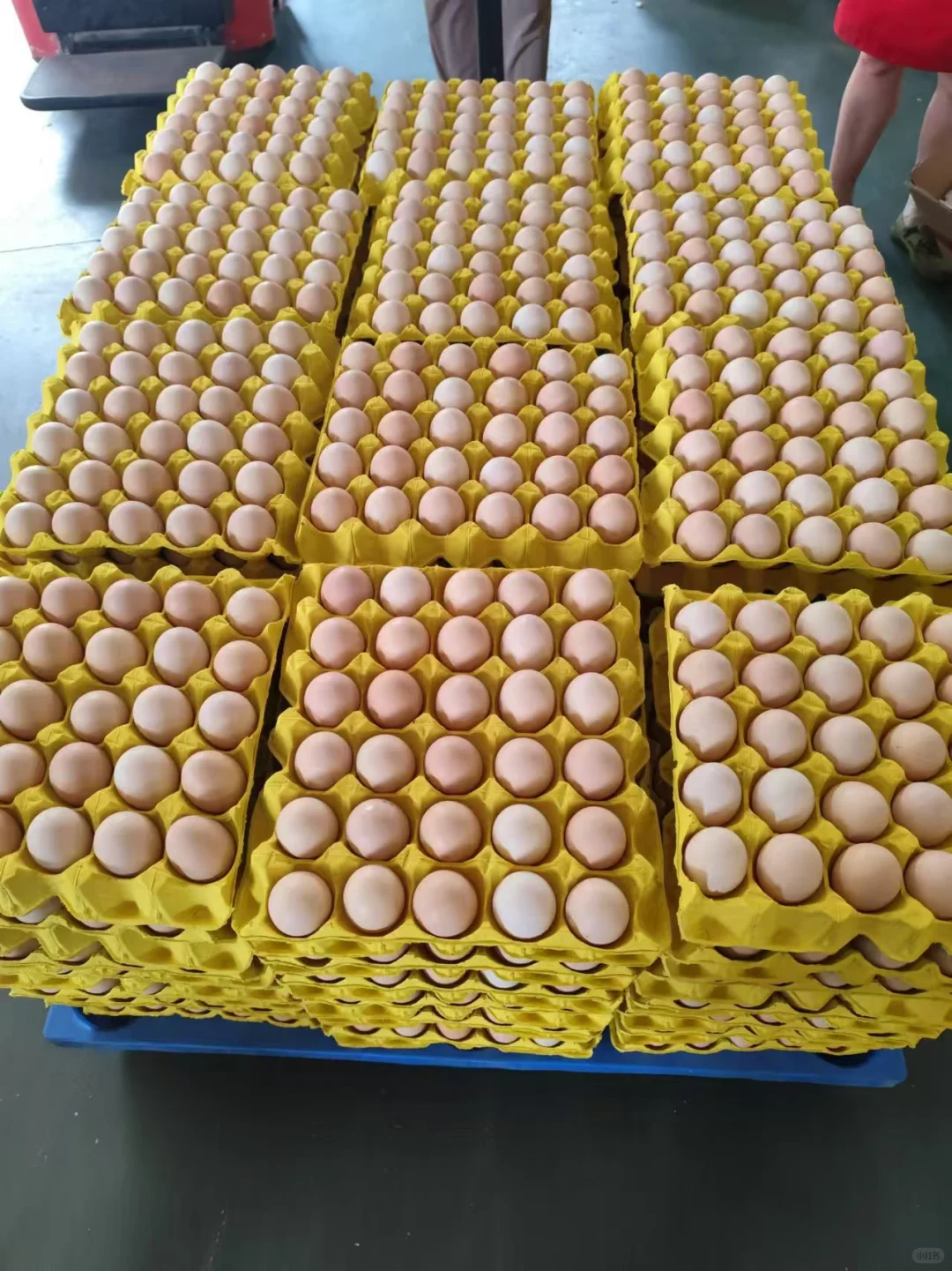 �����ɹ���Ӧ���ɳ��ڹ�Ӧ������