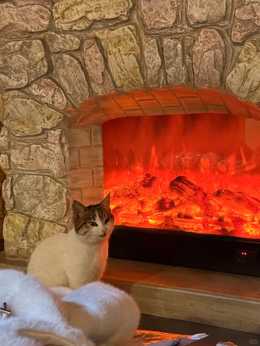 禾木才是我想象中冬天阿勒泰的模样~