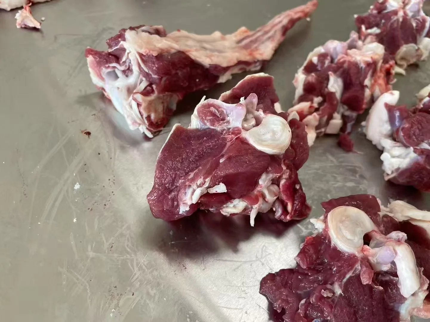 ��һֻ�򵽵��������٣�