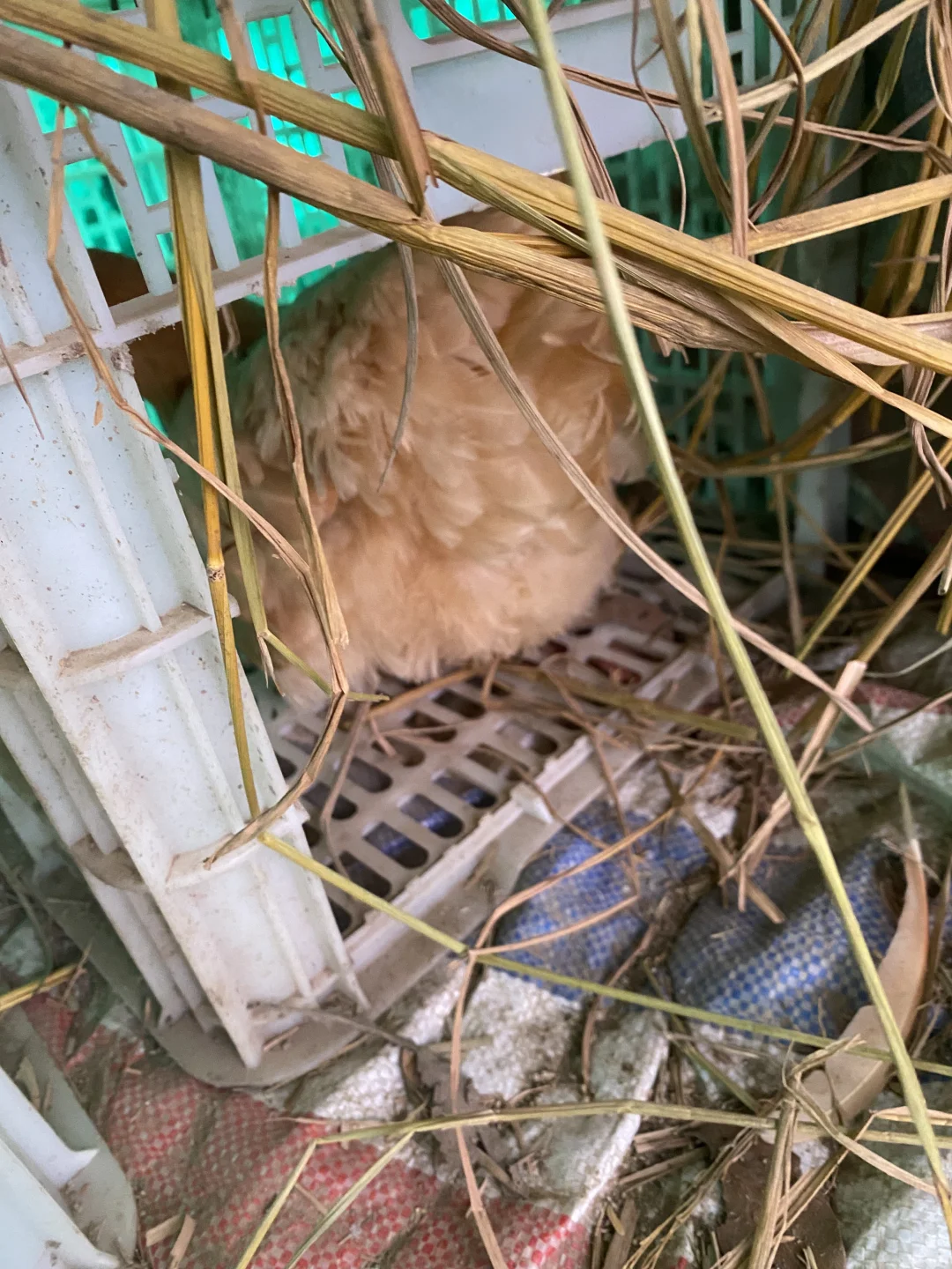 �Ҽҵļ�����Ȼ�󣬵��Ǳ��氡