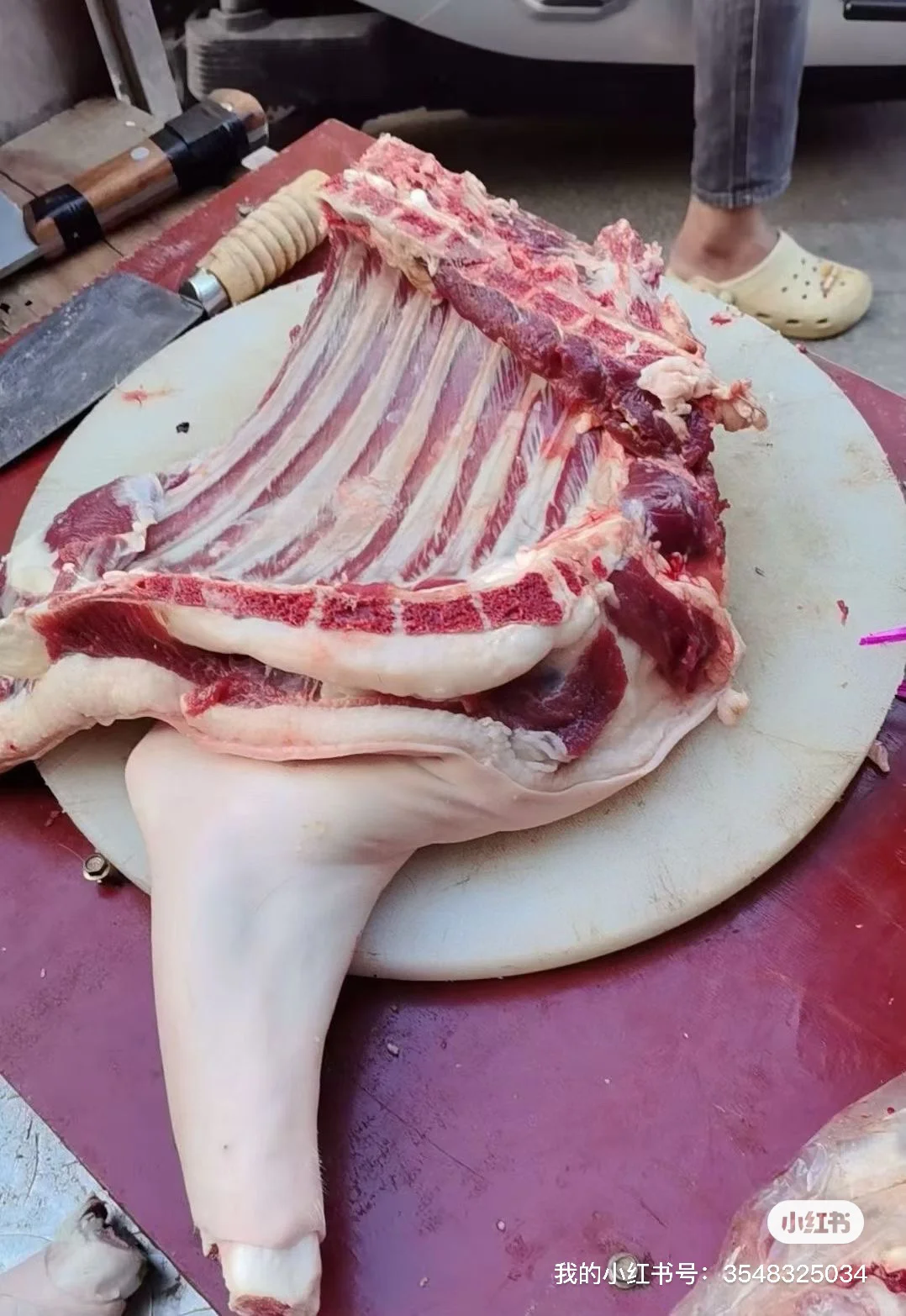 �����̯����