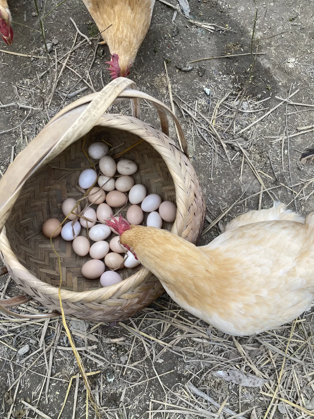 �Ҽҵļ�����Ȼ�󣬵��Ǳ��氡