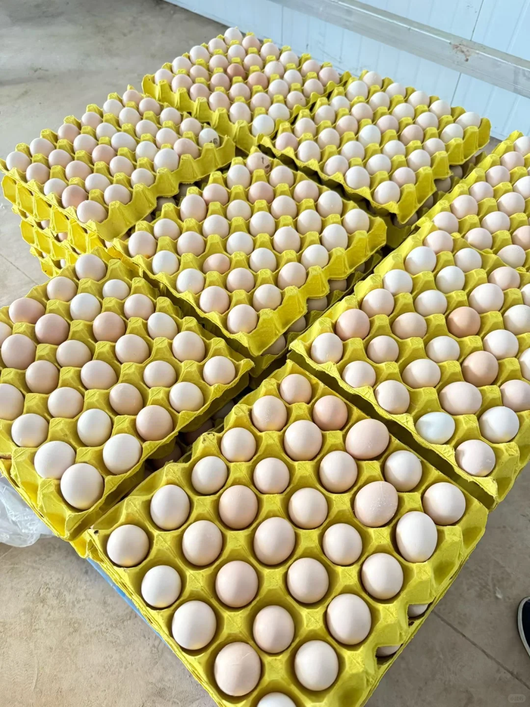 ����ֱ����������