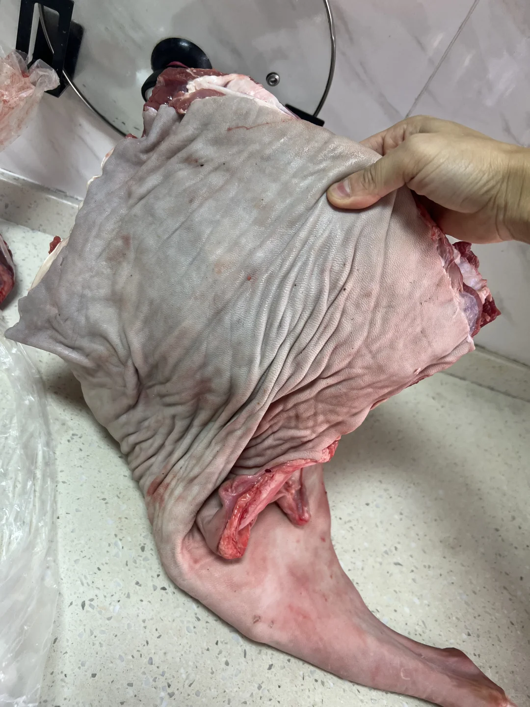 ���������