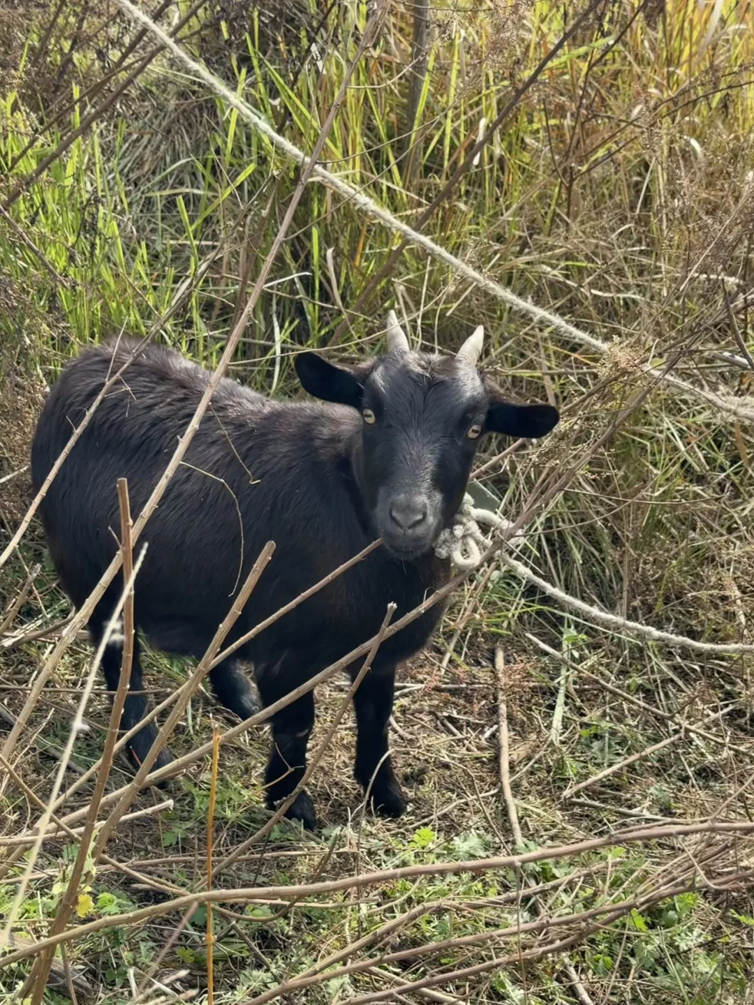 ���ݺ�ɽ����50һ�����