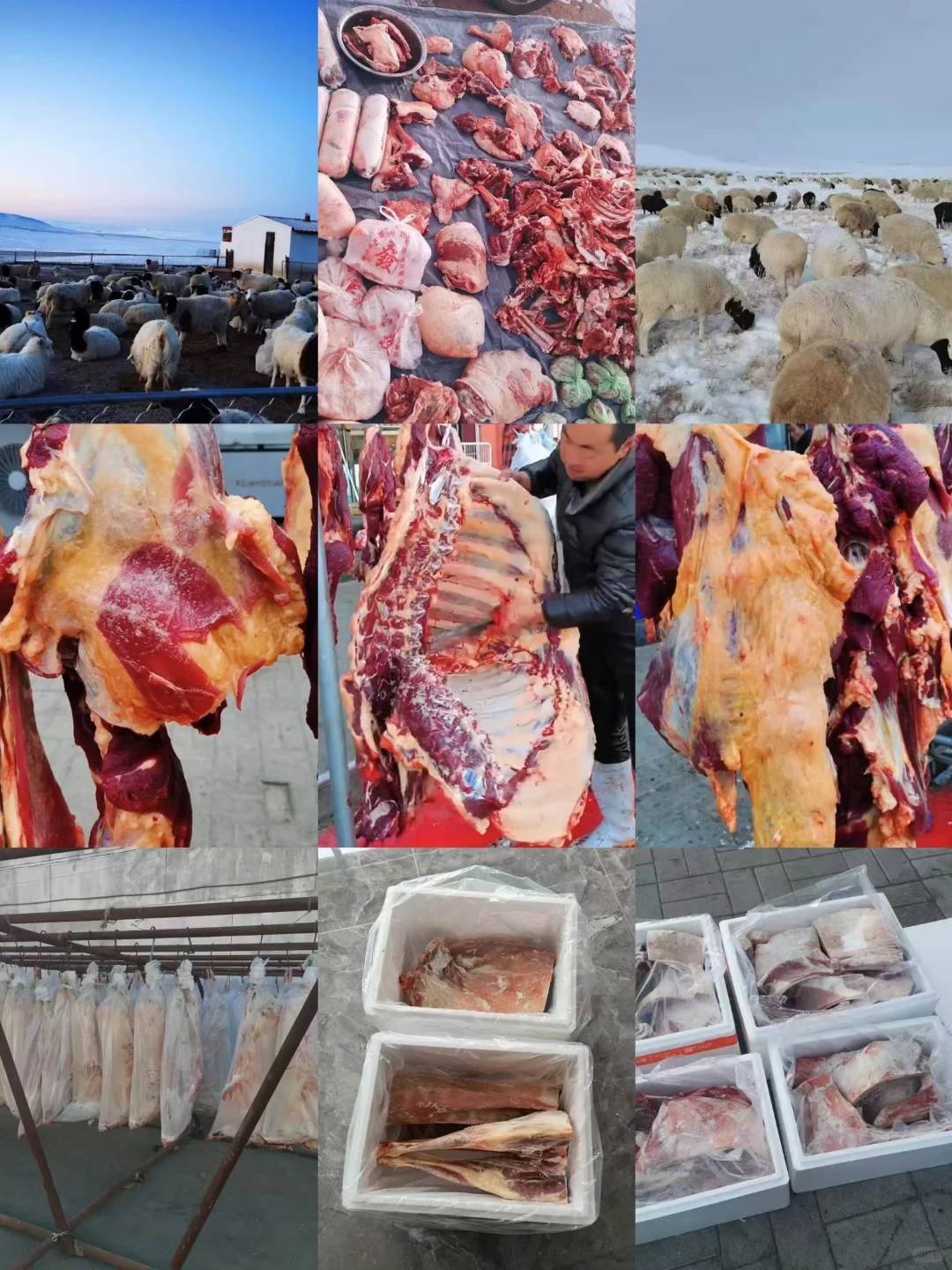 ������������������