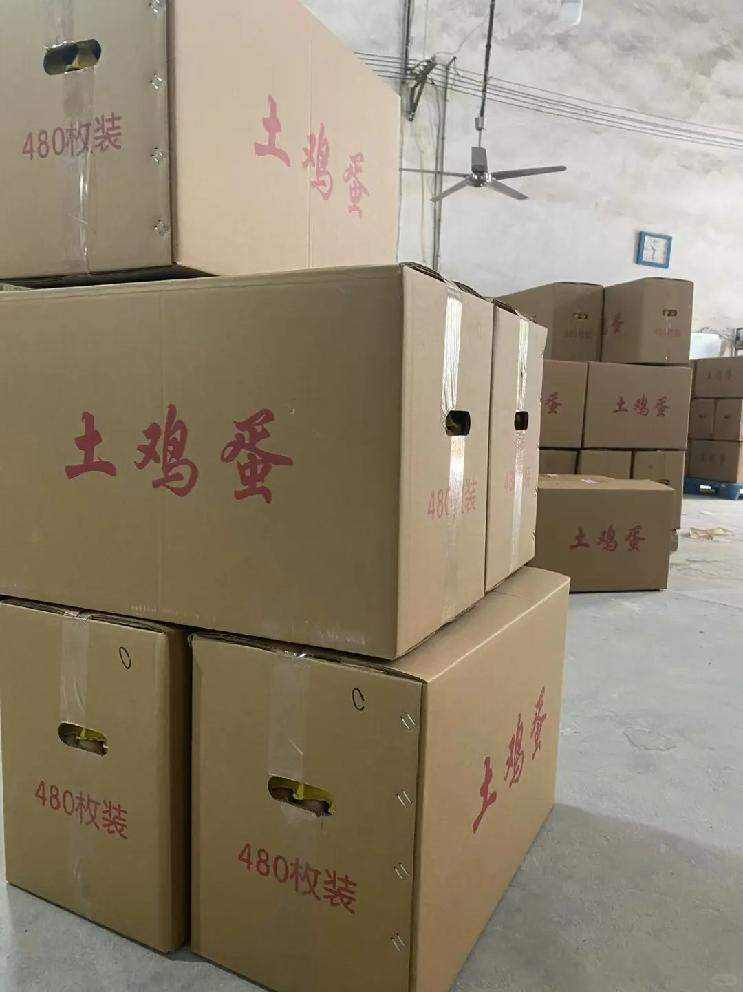 ������������Դ