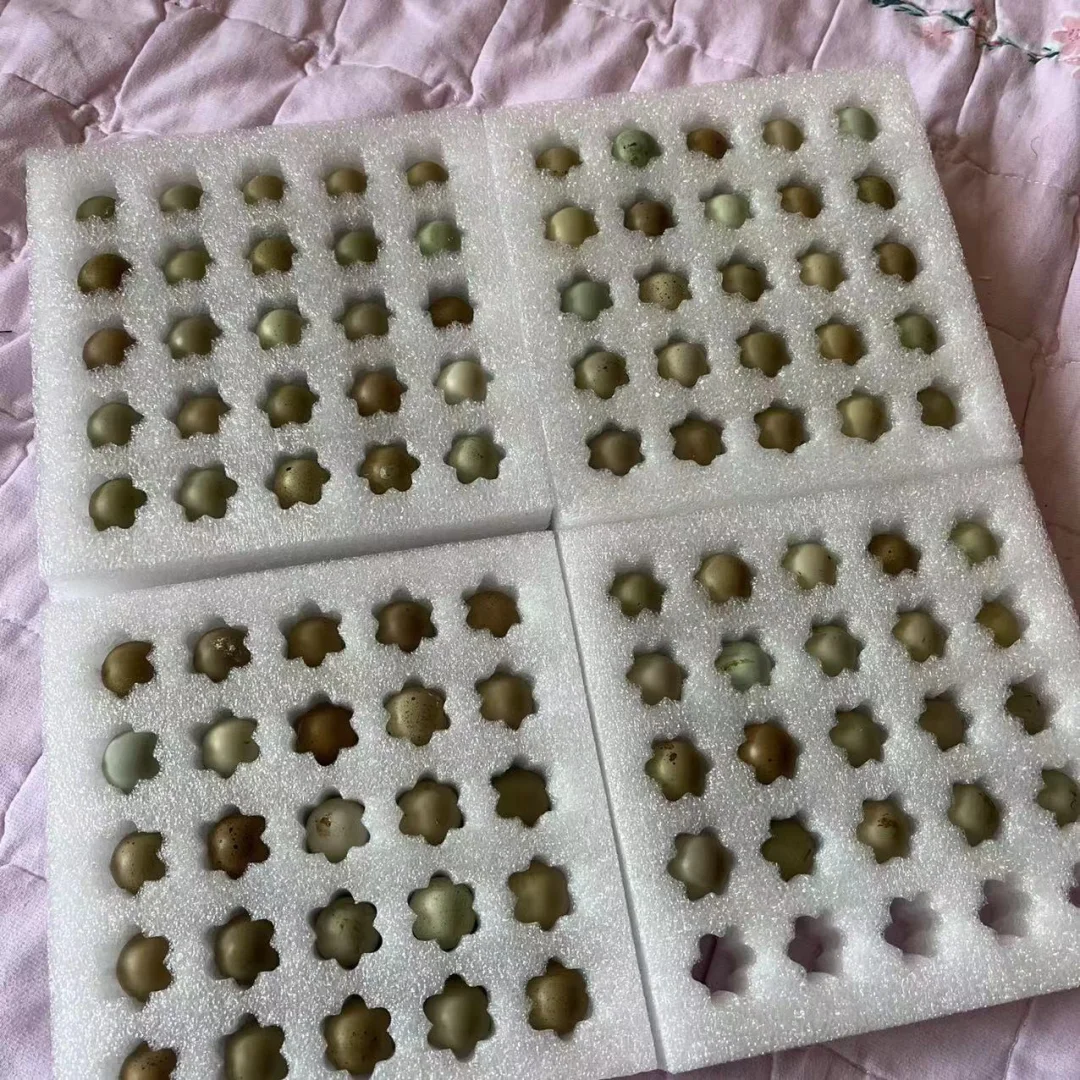 «������1Ԫһö ����Ҫ����