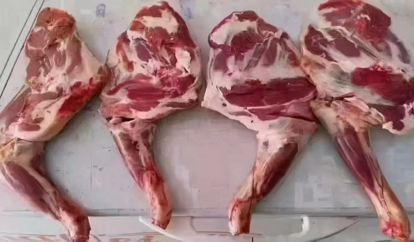 ���ɰ���������