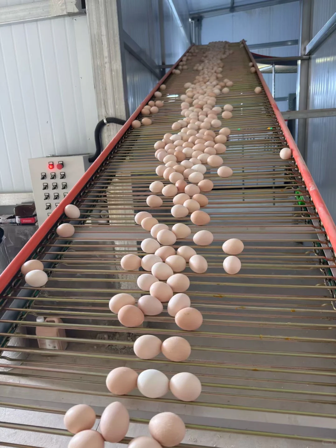 ����ֱ����������