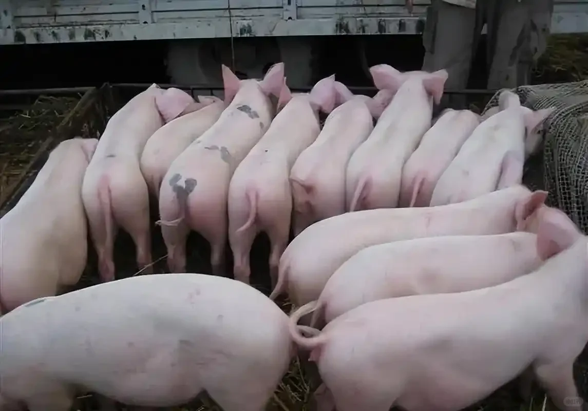 ����ǰ����������������ѧ�߷ʶ�׬һ�ʣ�