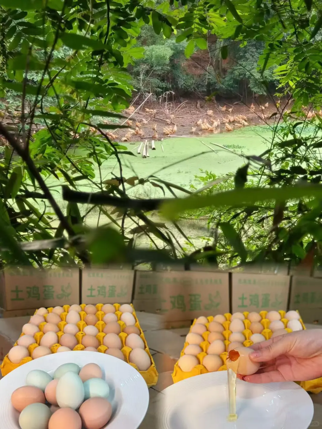 ������������Դ