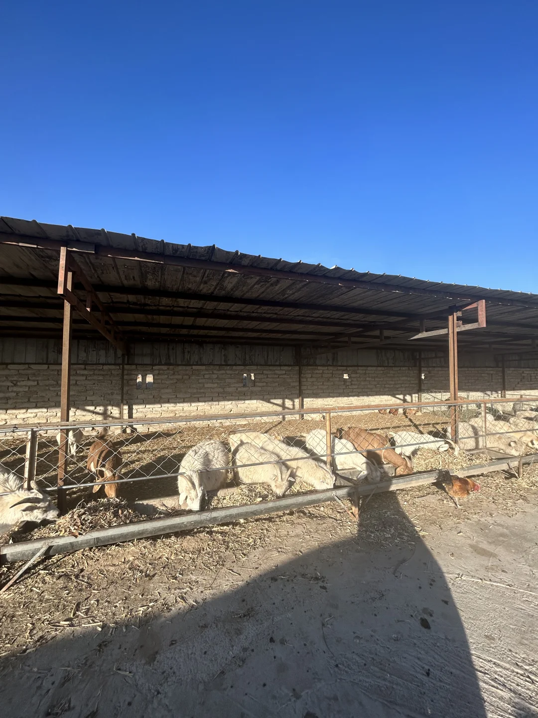 ��ʵ��������