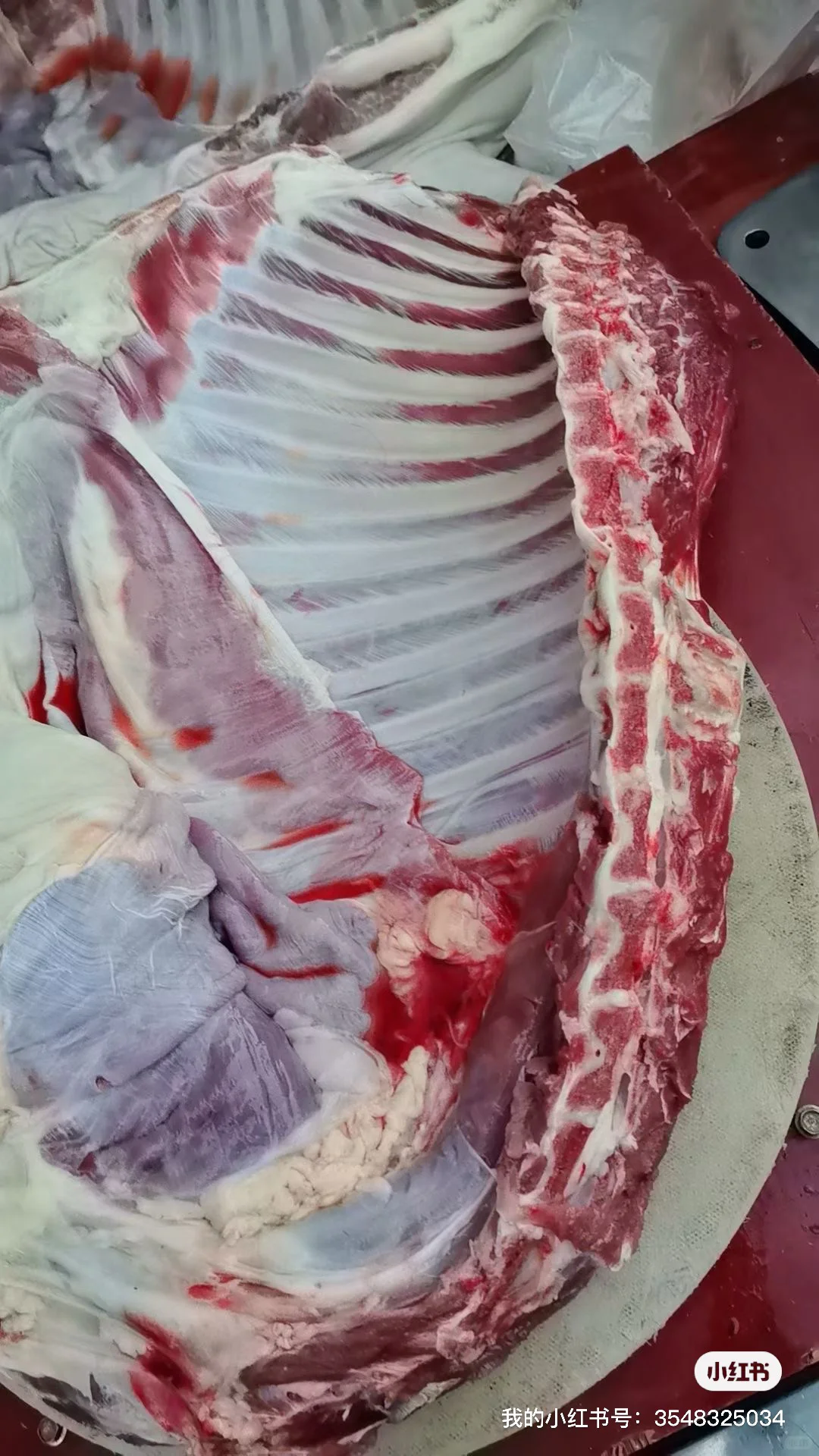 �����̯����