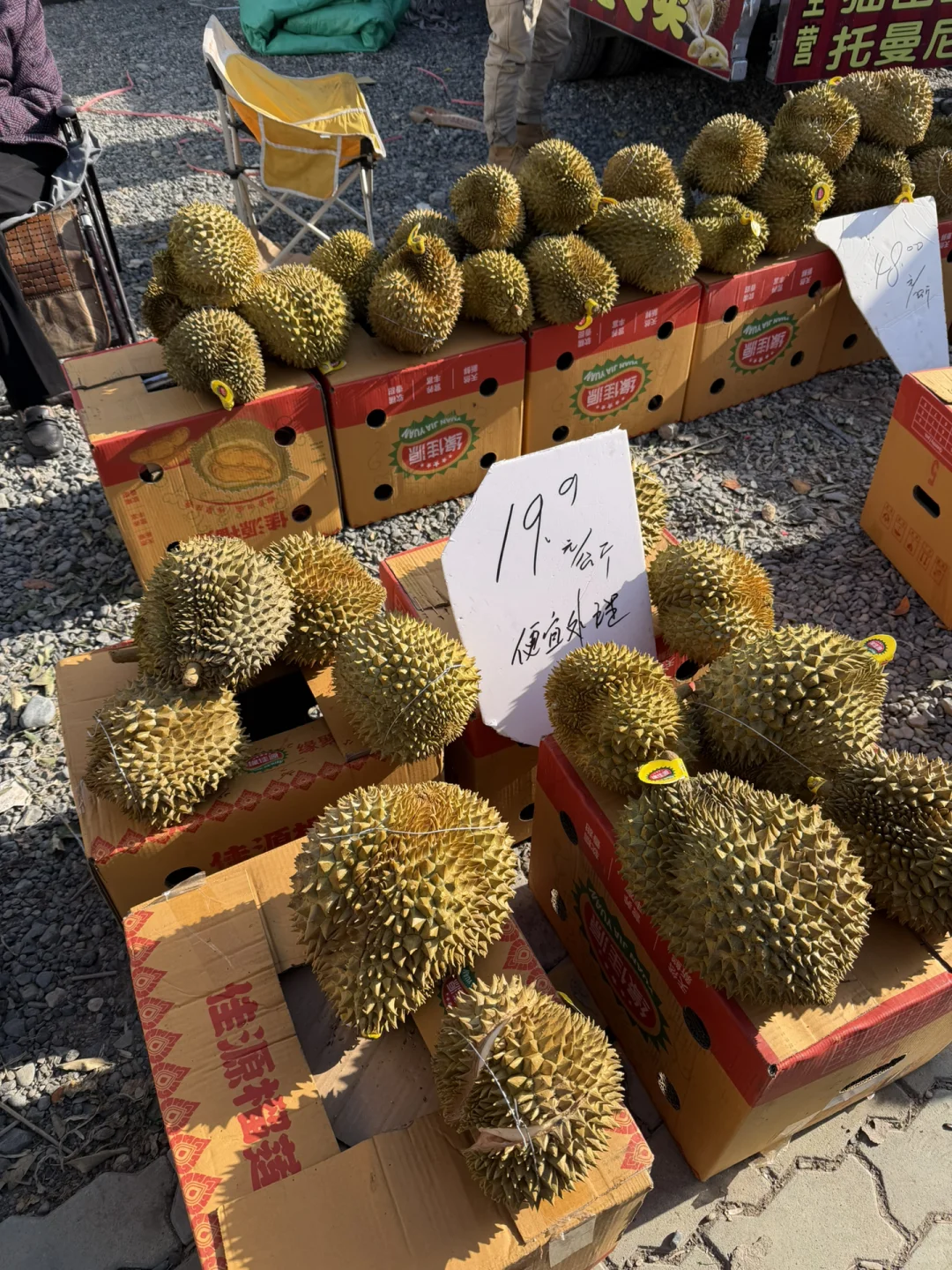 ��۱��ڵض�����ն��