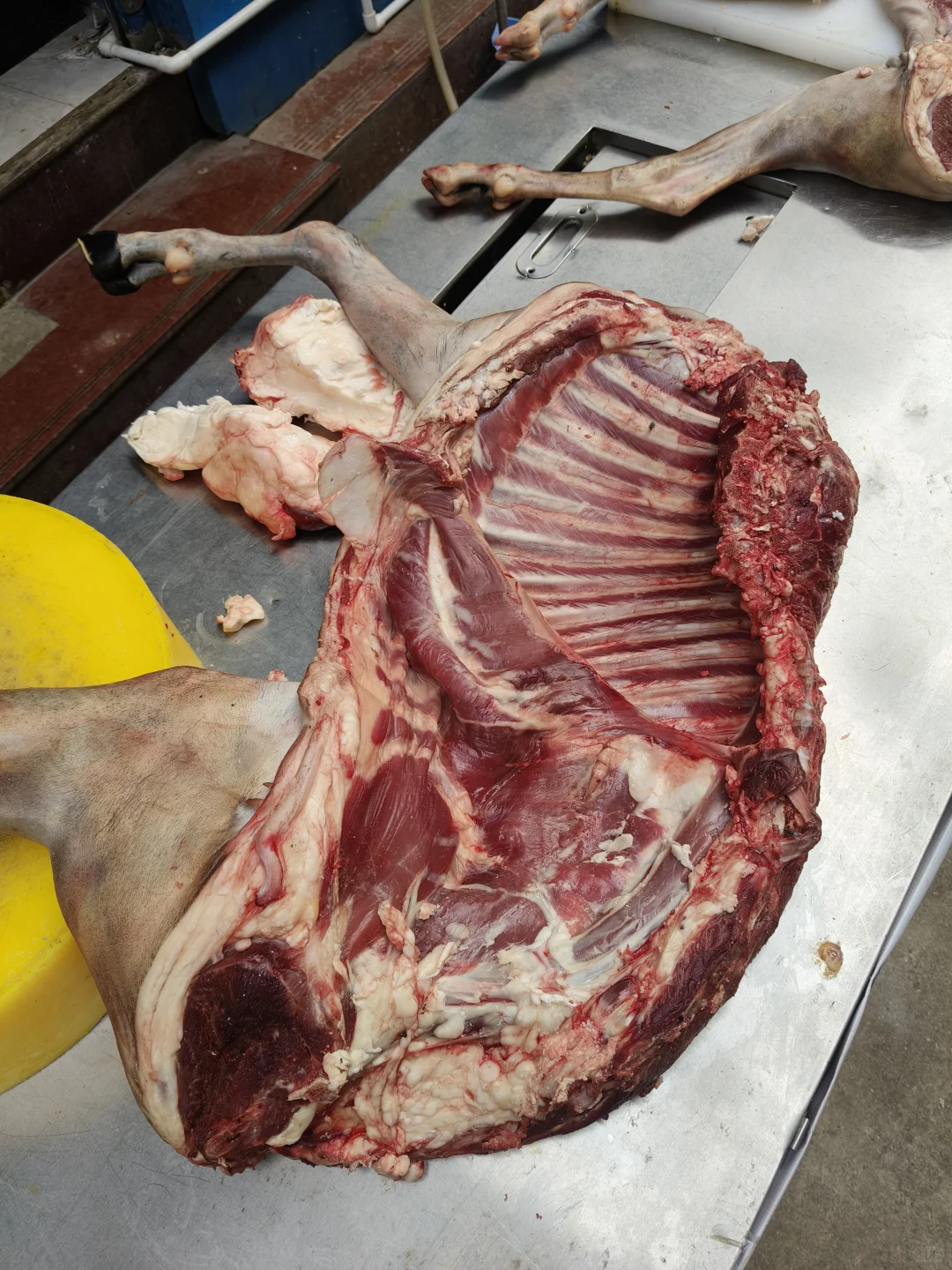 ���ۺ�ɽ����(�㶫ʡ�ڰ���)