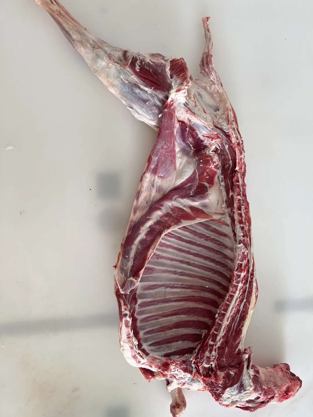 ˳����ʺ����������۴�������̲����