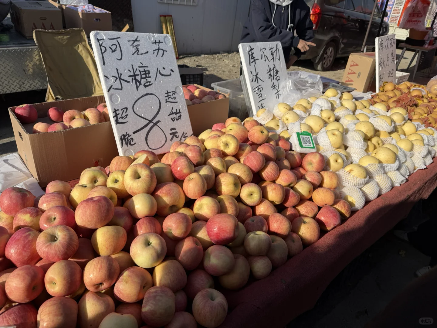 ��۱��ڵض�����ն��