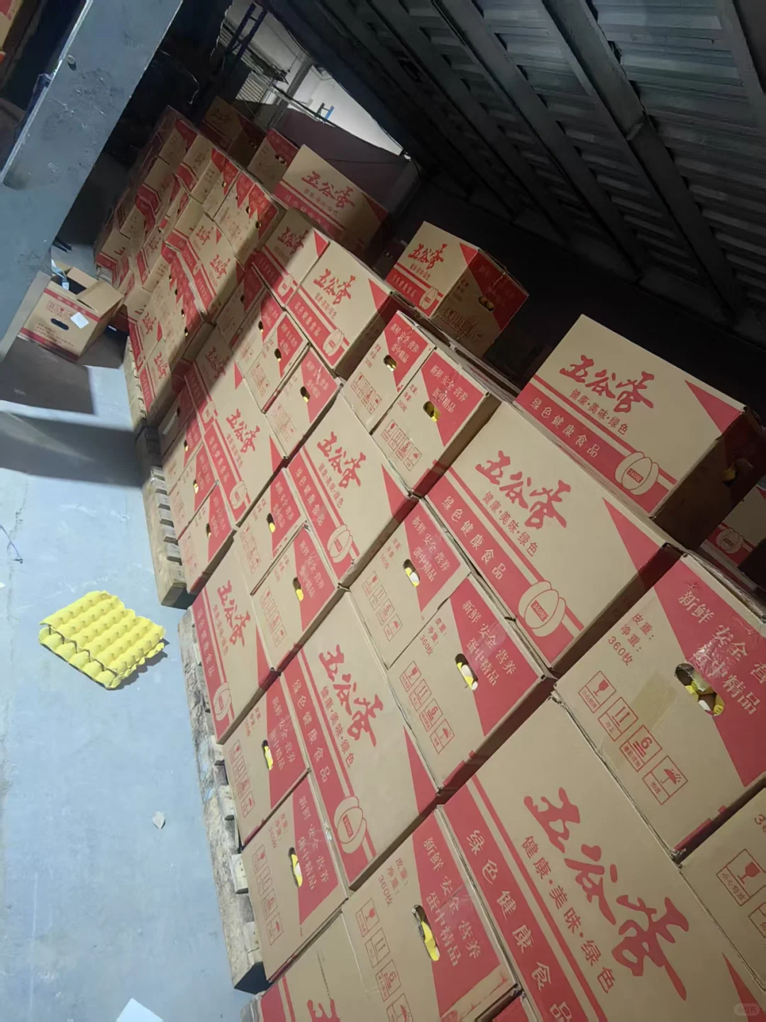 ����������������1000�O�ֿ⣬�ȣ�