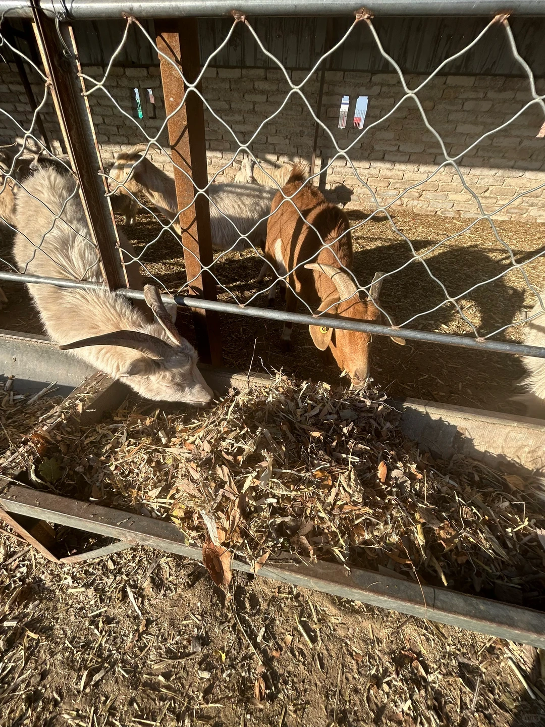 ��ʵ��������