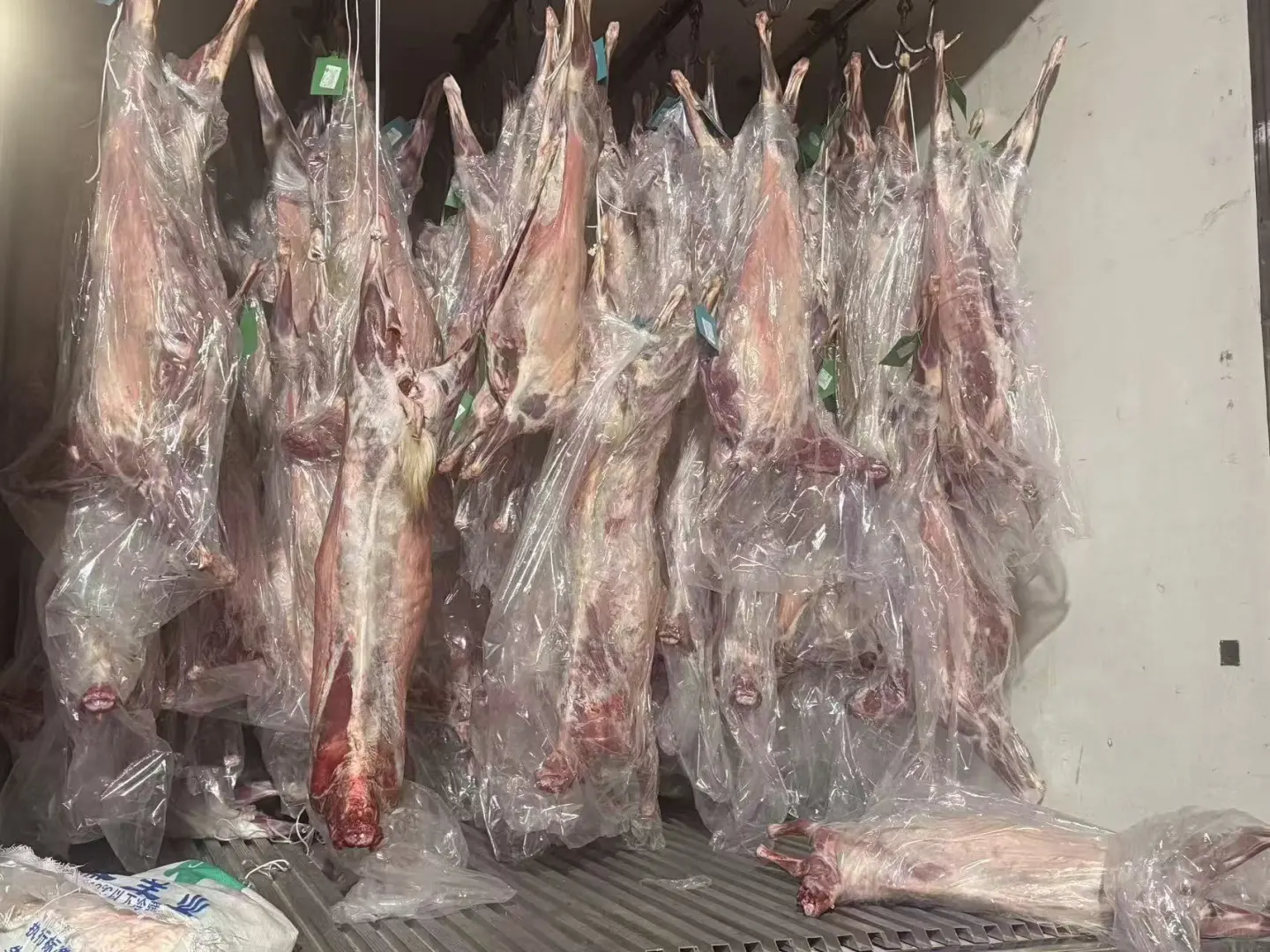 �������ҷ���������Ц��������������˭����